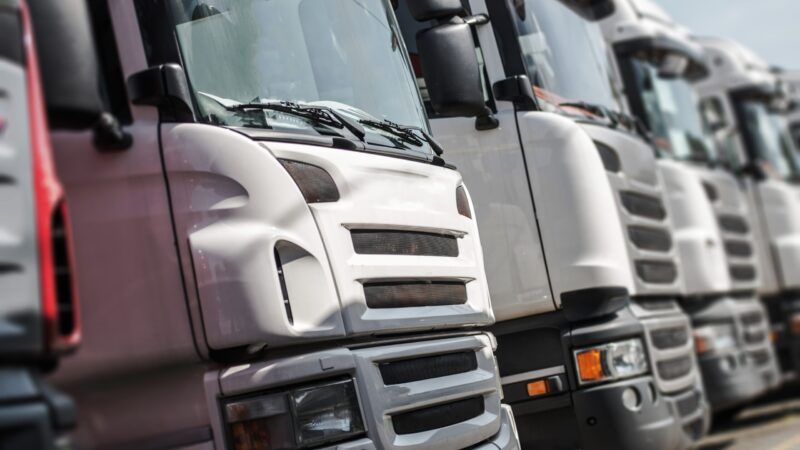 Pre Owned Euro Trucks For Sale. Row of Trucks with Shallow Depth of Field.
